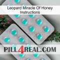 Leopard Miracle Of Honey Instructions 29